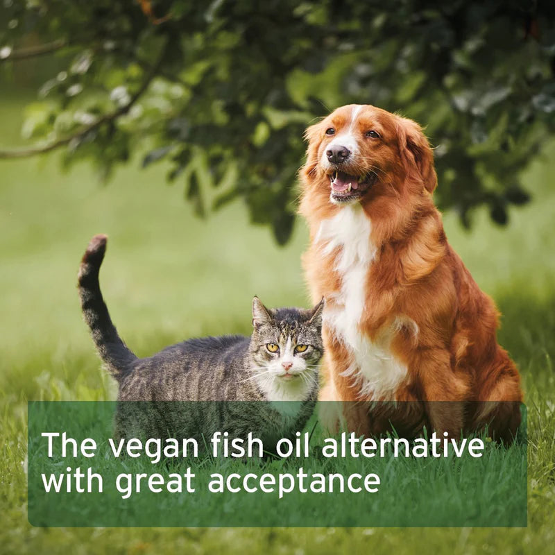 Aniforte | Algae Oil 50ml