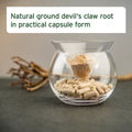 Aniforte | Devil's Claw Root x 100