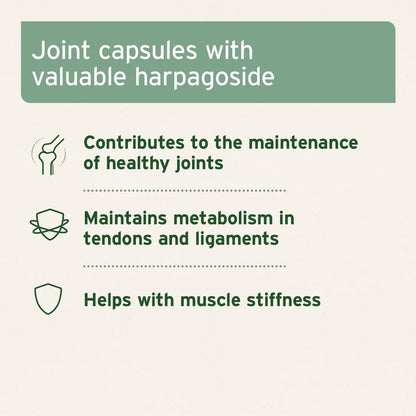 Aniforte | Devil's Claw Root x 100 tablets