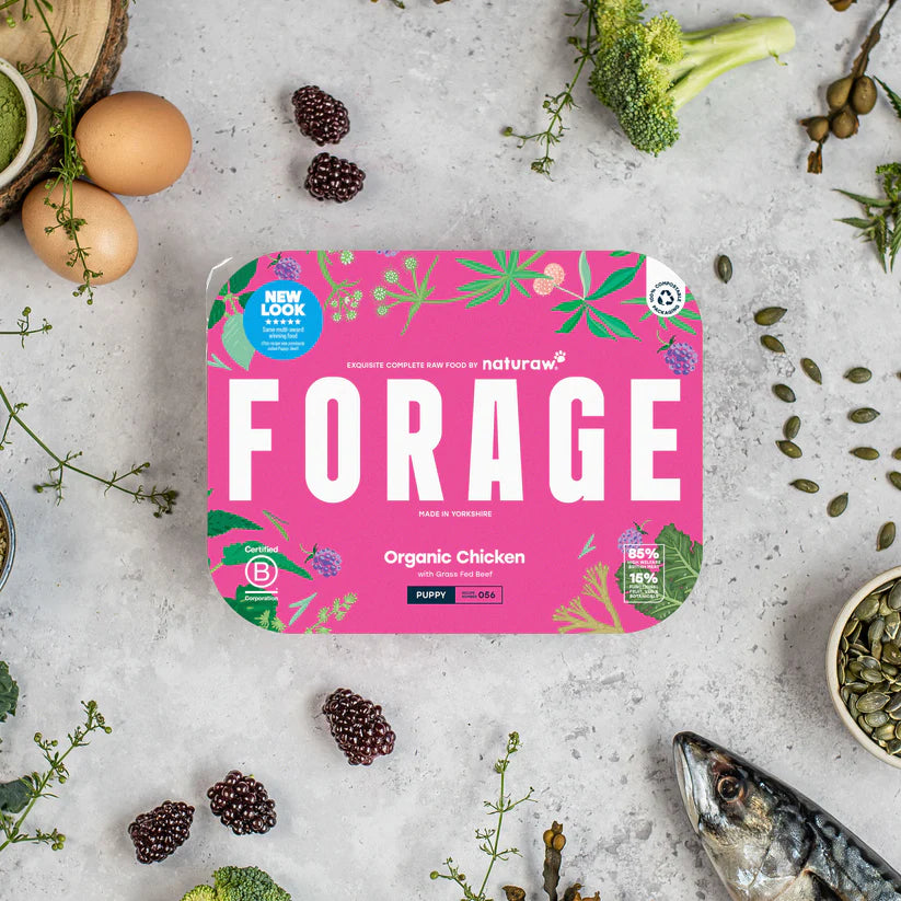 Naturaw | Forage Puppy 500g
