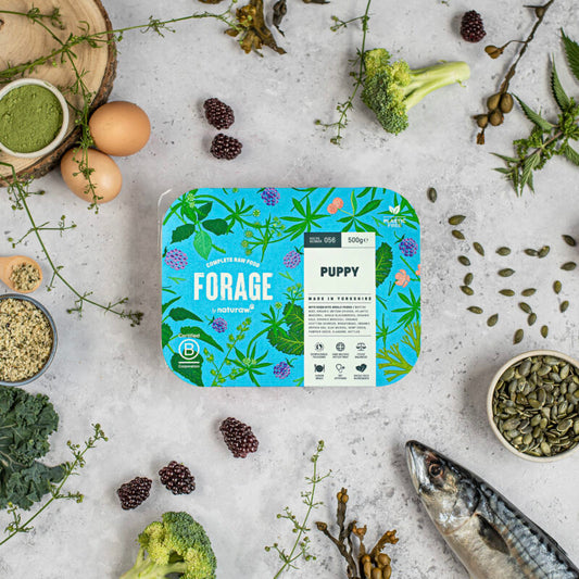 Naturaw Forage Puppy 500g