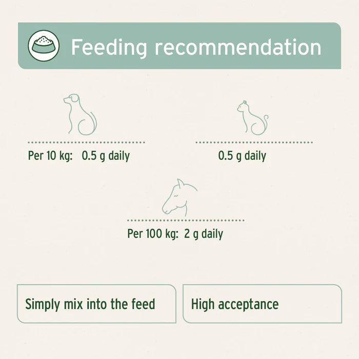 Aniforte | Green Lipped Mussel Powder for Dogs & Cats - Joint Support 100g