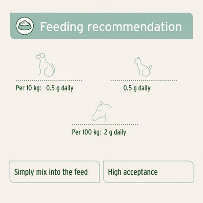 Aniforte | Green Lipped Mussel Powder for Dogs & Cats - Joint Support 100g