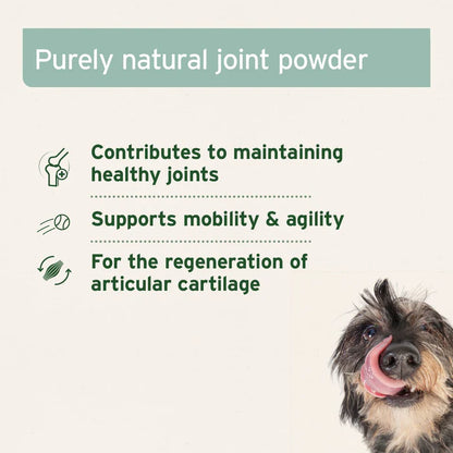 Aniforte | Green Lipped Mussel Powder for Dogs & Cats - Joint Support 100g