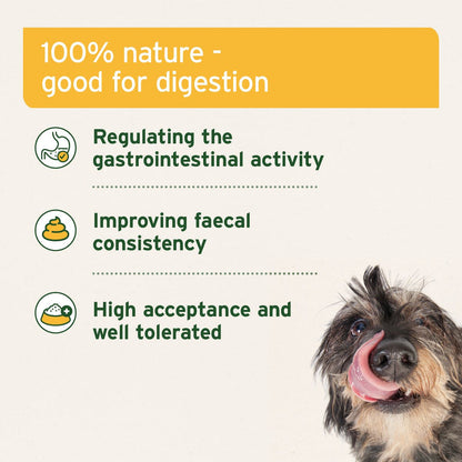 Aniforte | Natural Moor Mud - Supports Digestion and Immune System 300g