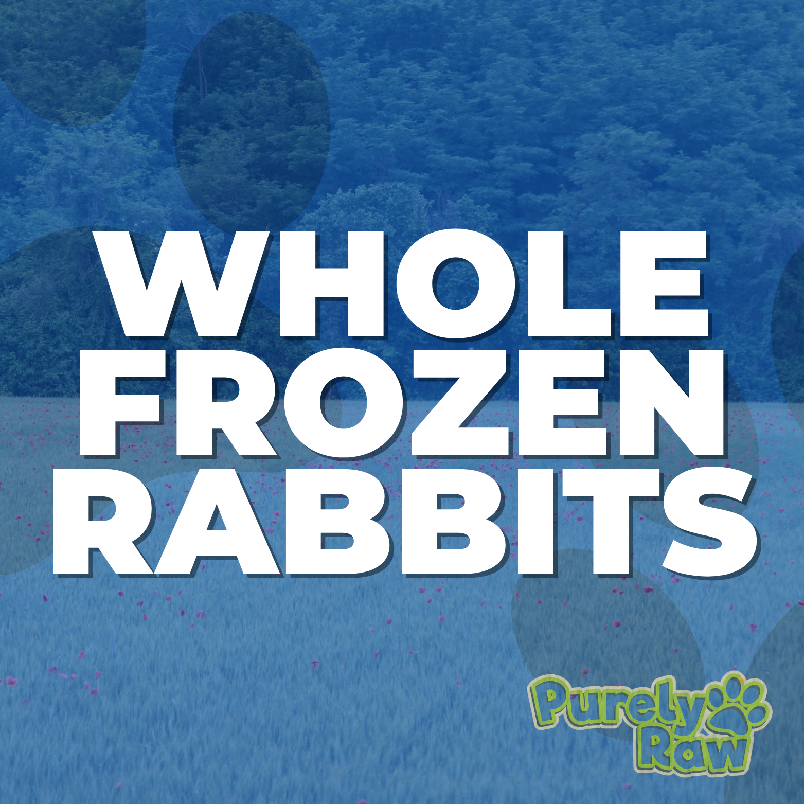 Kiezebrink | Whole Frozen Rabbit – Purely Raw