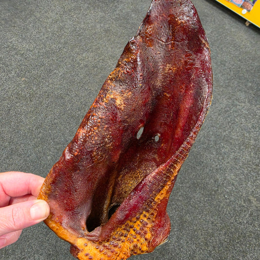 JUMBO Pig Ear 1pc