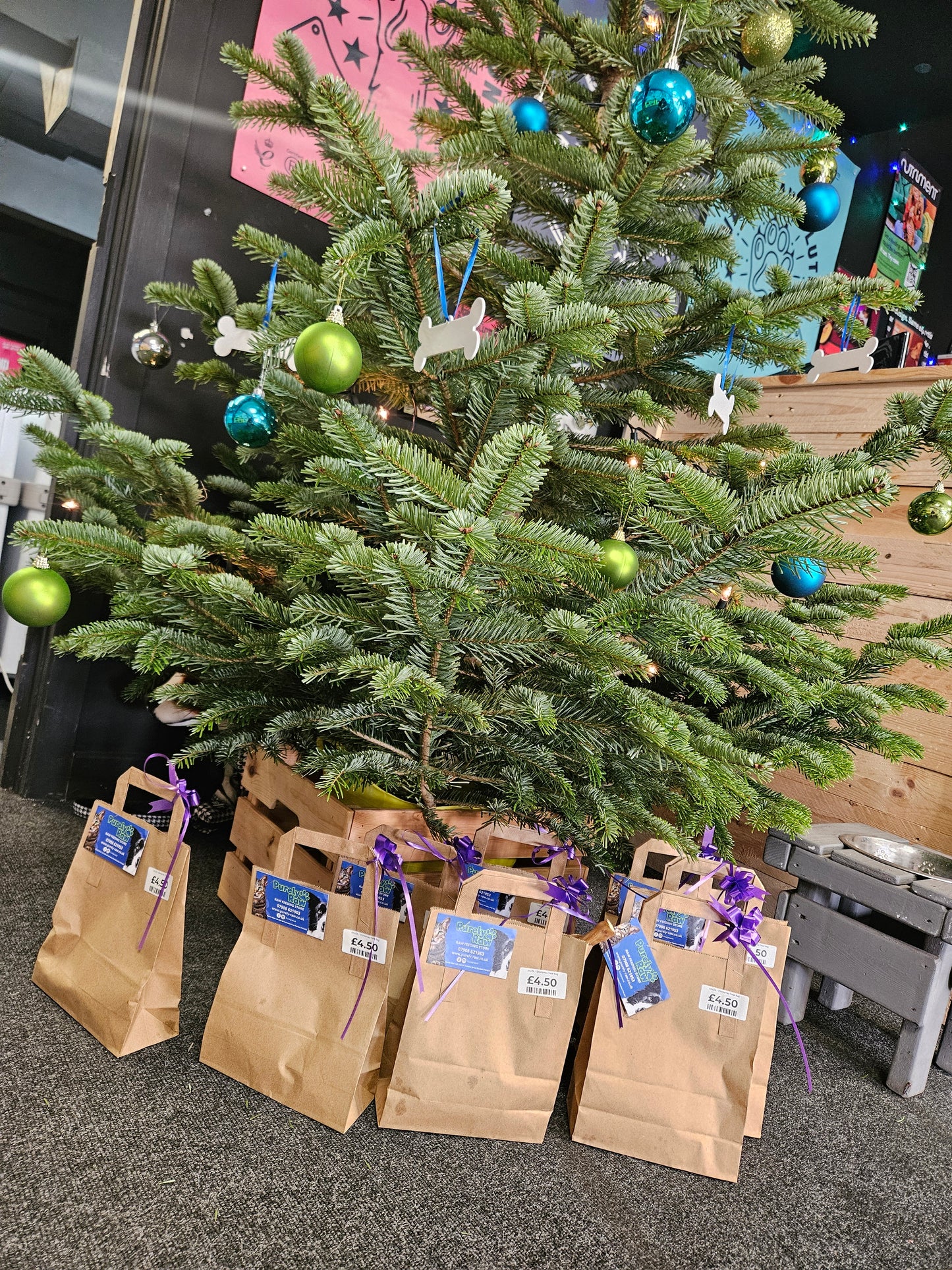 ANLOL - Christmas Treat Bag (Donation)