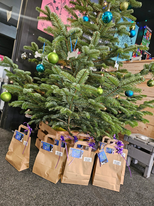 ANLOL - Christmas Treat Bag (Donation)