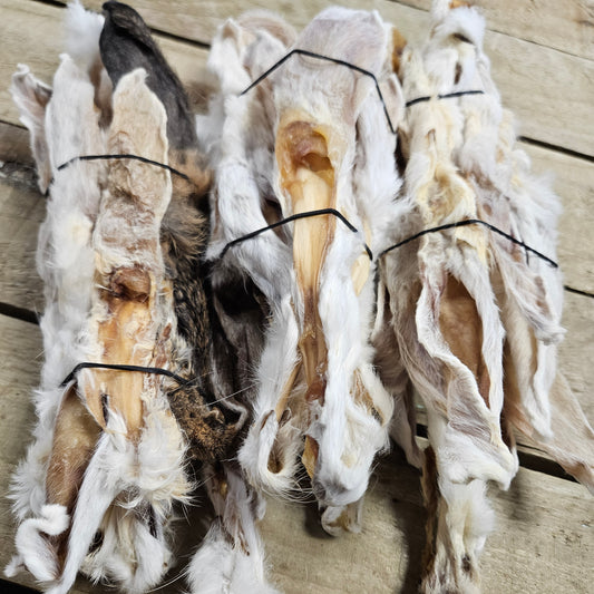 Rabbit Ears Bundle