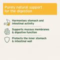 Aniforte | Slippery Elm Bark Powder - Supports Digestion & Healthy Gastric Mucosa 100g