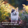 Aniforte | Taurine Powder for Cats 100g - Essential Amino Acid Supplement