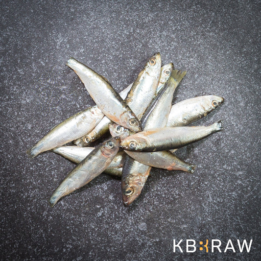 Kiezebrink Sprats 1kg