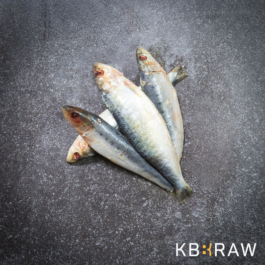 Kiezebrink | Sardines 1kg