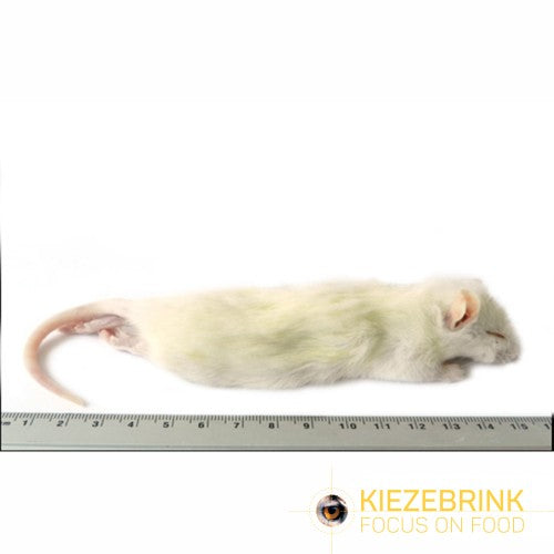 Kiezebrink - Rat Weaner Large x 25