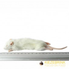 Kiezebrink | Rat Weaner Small (5 Pack)