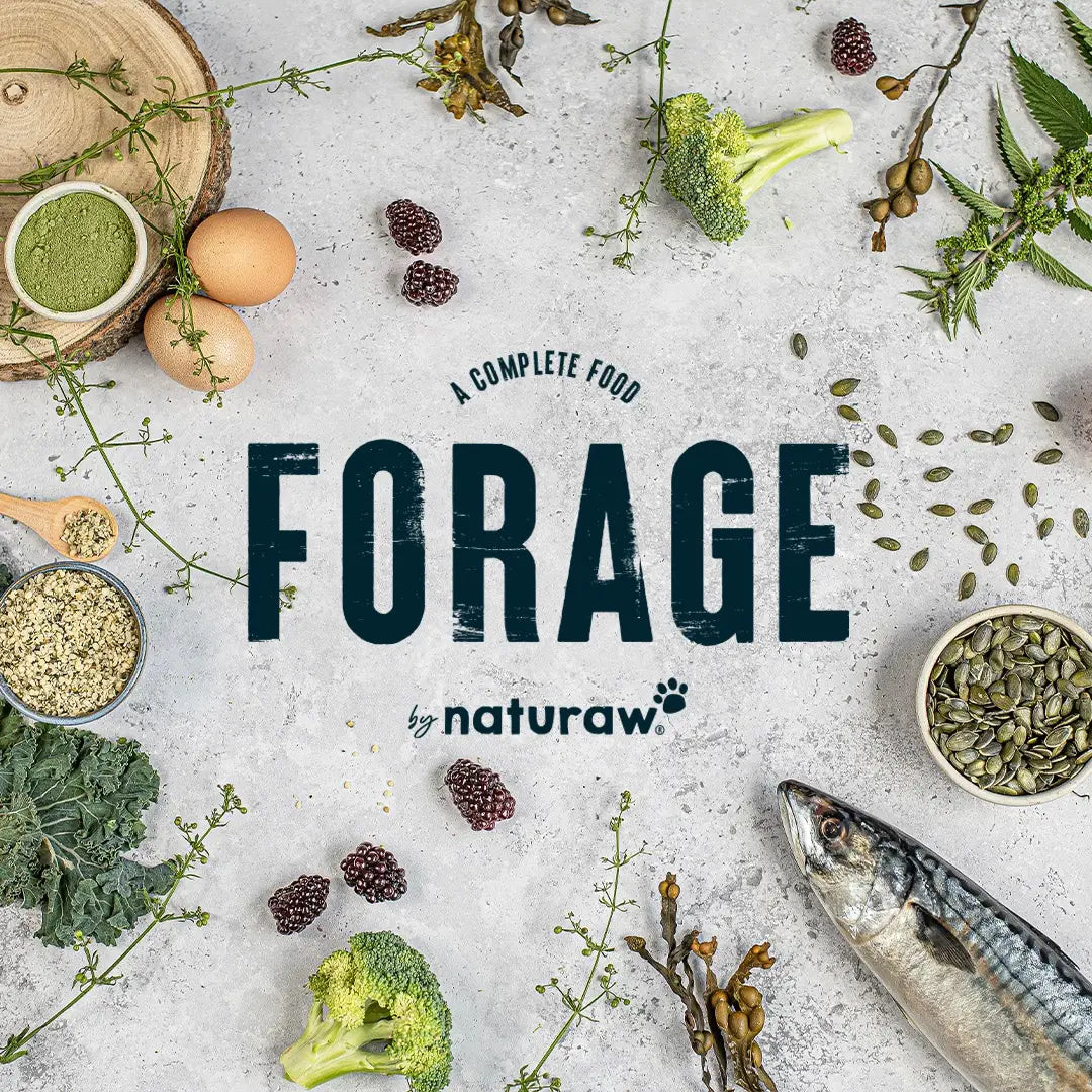 Naturaw Forage Puppy 500g