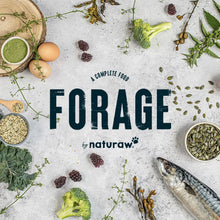 Load image into Gallery viewer, Naturaw- Forage Range 500g
